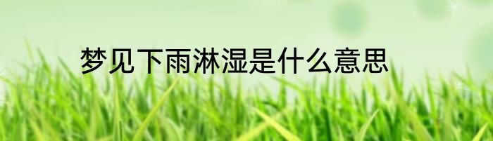 梦见下雨淋湿是什么意思