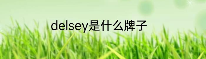 delsey是什么牌子