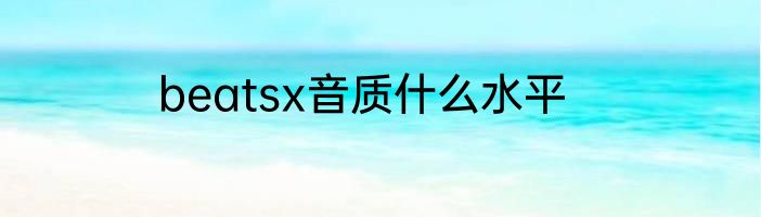 beatsx音质什么水平