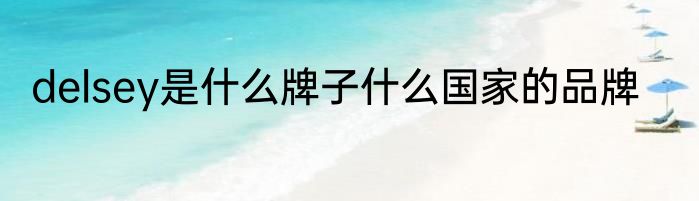 delsey是什么牌子什么国家的品牌