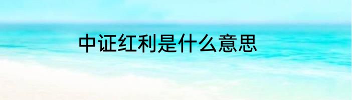 中证红利是什么意思
