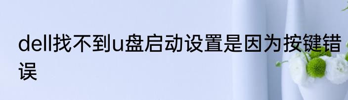 dell找不到u盘启动设置是因为按键错误