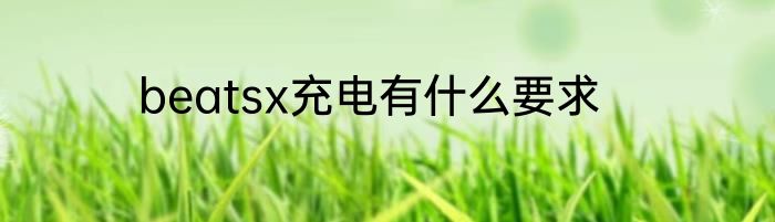 beatsx充电有什么要求