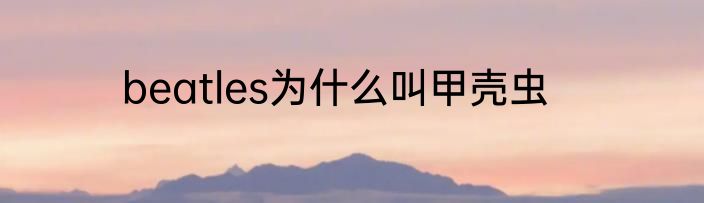 beatles为什么叫甲壳虫