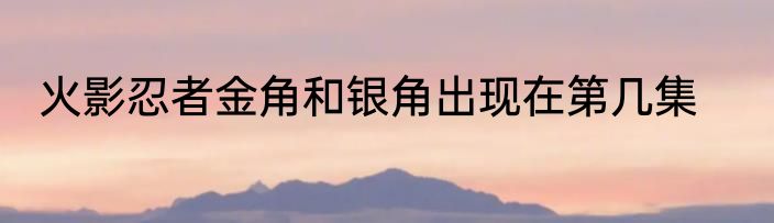 火影忍者金角和银角出现在第几集