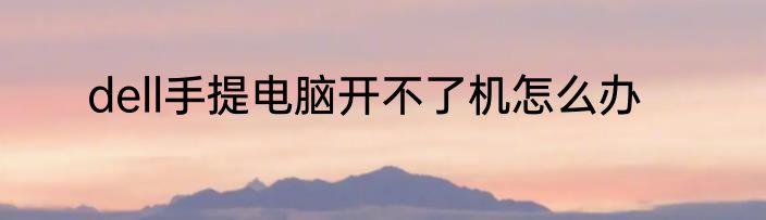 dell手提电脑开不了机怎么办