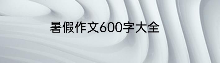 暑假作文600字大全