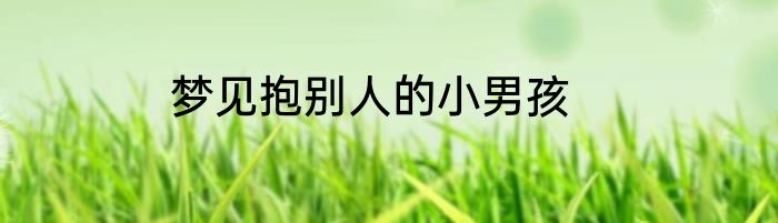 梦见抱别人的小男孩