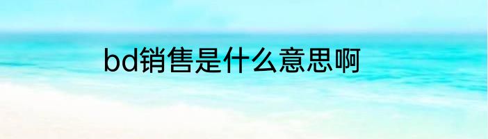 bd销售是什么意思啊