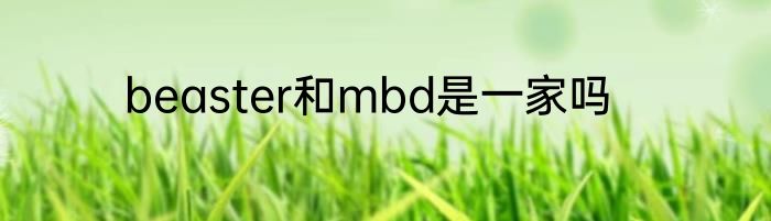 beaster和mbd是一家吗
