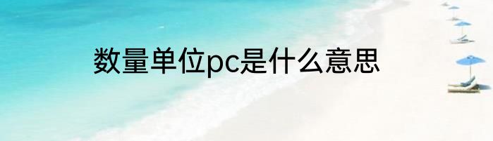数量单位pc是什么意思