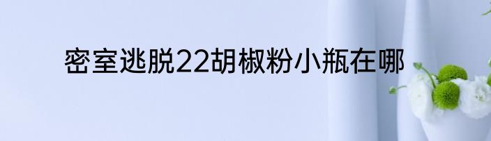 密室逃脱22胡椒粉小瓶在哪