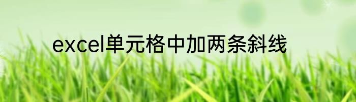 excel单元格中加两条斜线