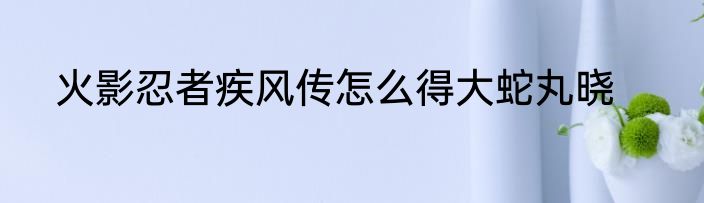 火影忍者疾风传怎么得大蛇丸晓