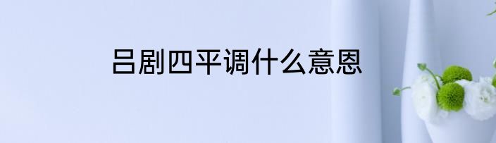 吕剧四平调什么意恩