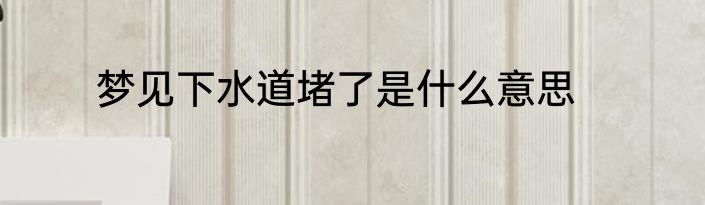 梦见下水道堵了是什么意思