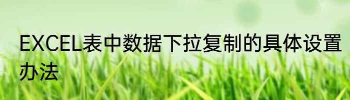 EXCEL表中数据下拉复制的具体设置办法