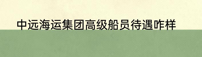中远海运集团高级船员待遇咋样