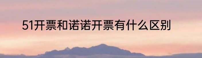 51开票和诺诺开票有什么区别