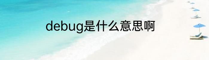 debug是什么意思啊