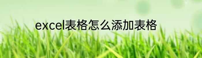 excel表格怎么添加表格