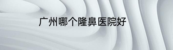 广州哪个隆鼻医院好