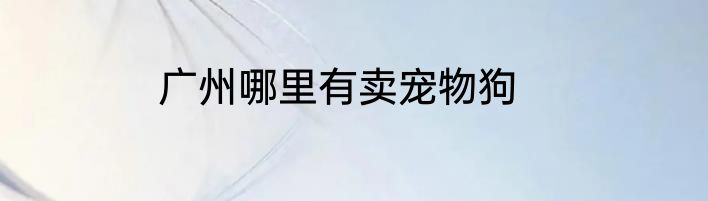 广州哪里有卖宠物狗