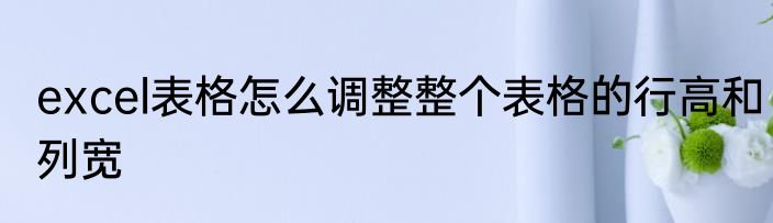 excel表格怎么调整整个表格的行高和列宽