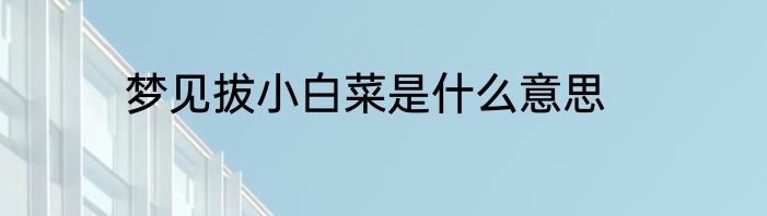 梦见拔小白菜是什么意思