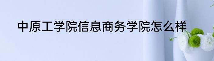 中原工学院信息商务学院怎么样