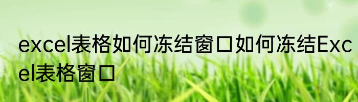 excel表格如何冻结窗口如何冻结Excel表格窗口