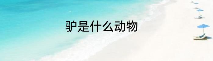 驴是什么动物