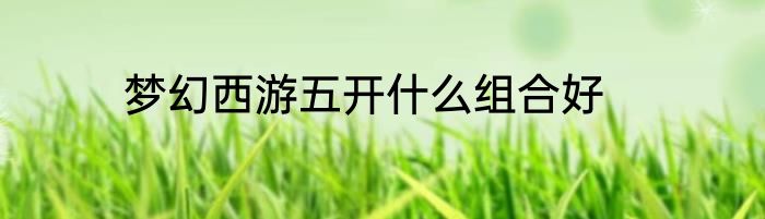 梦幻西游五开什么组合好