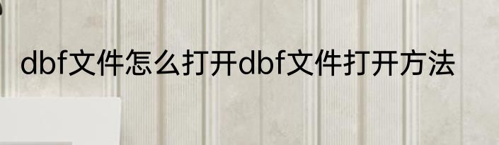 dbf文件怎么打开dbf文件打开方法