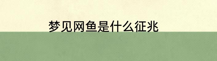 梦见网鱼是什么征兆