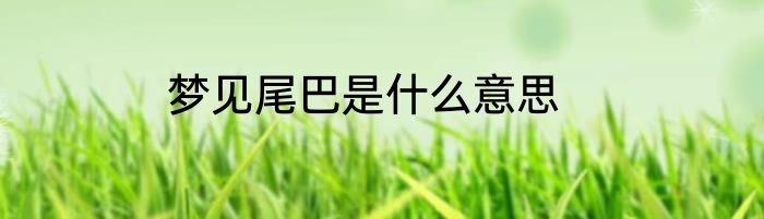 梦见尾巴是什么意思