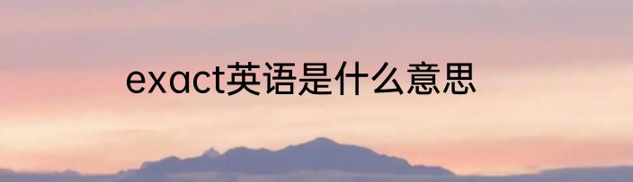 exact英语是什么意思