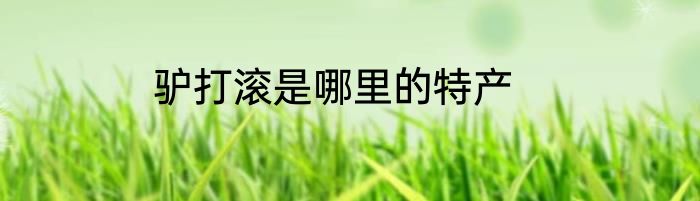驴打滚是哪里的特产