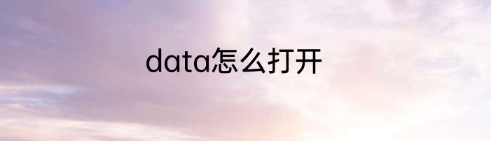 data怎么打开