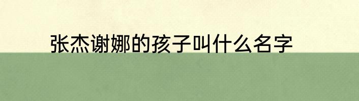 张杰谢娜的孩子叫什么名字