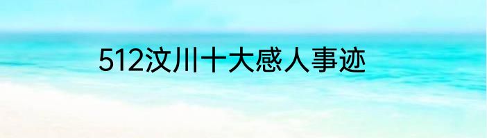 512汶川十大感人事迹
