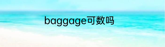 baggage可数吗