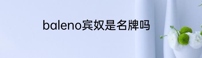 baleno宾奴是名牌吗
