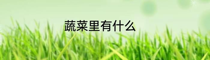蔬菜里有什么
