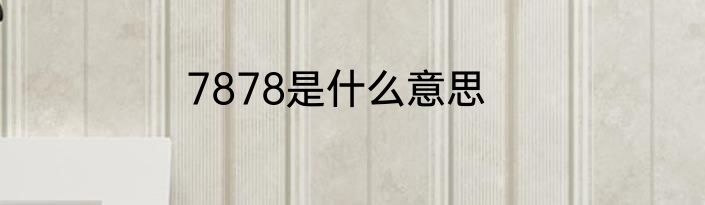 7878是什么意思