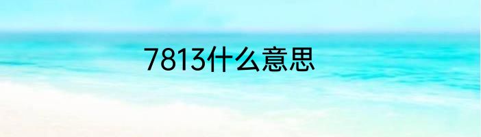 7813什么意思