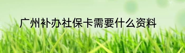 广州补办社保卡需要什么资料