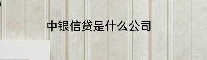 中银信贷是什么公司