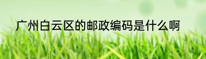 广州白云区的邮政编码是什么啊