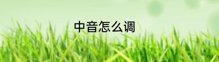 中音怎么调